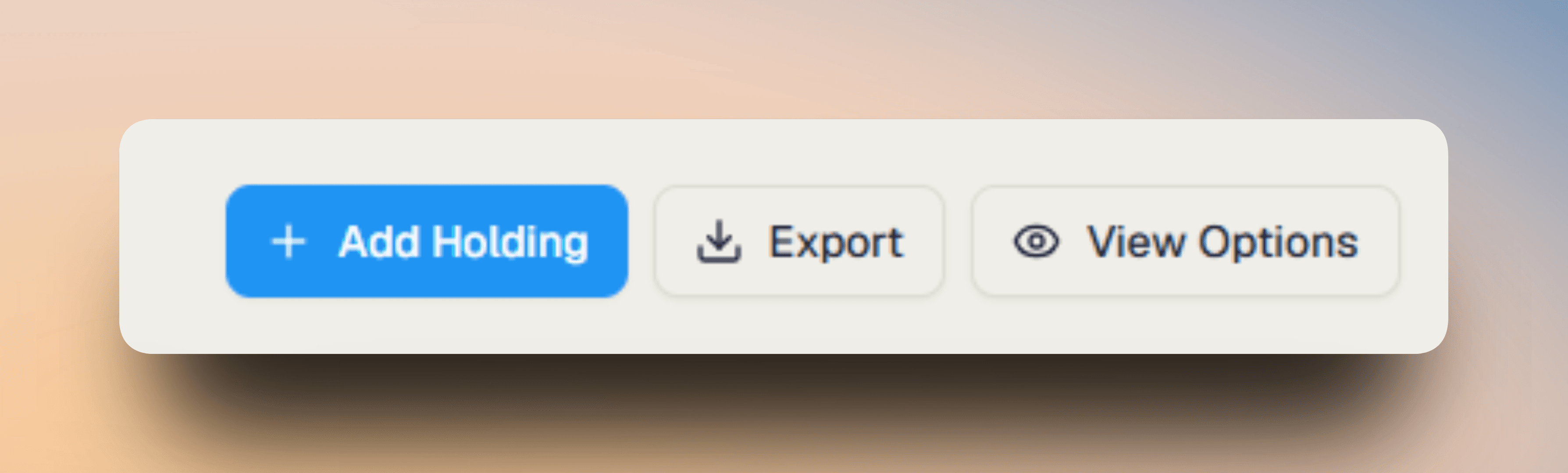 Holdings action bar showing Add Holding, Export, and View Options buttons